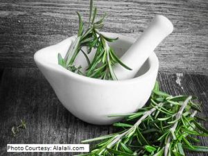 Manfaat Rosemary untuk kesehatan